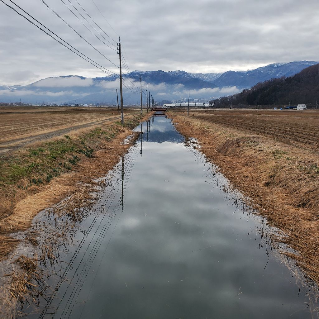 20260327 お返しトークは不要です。の話