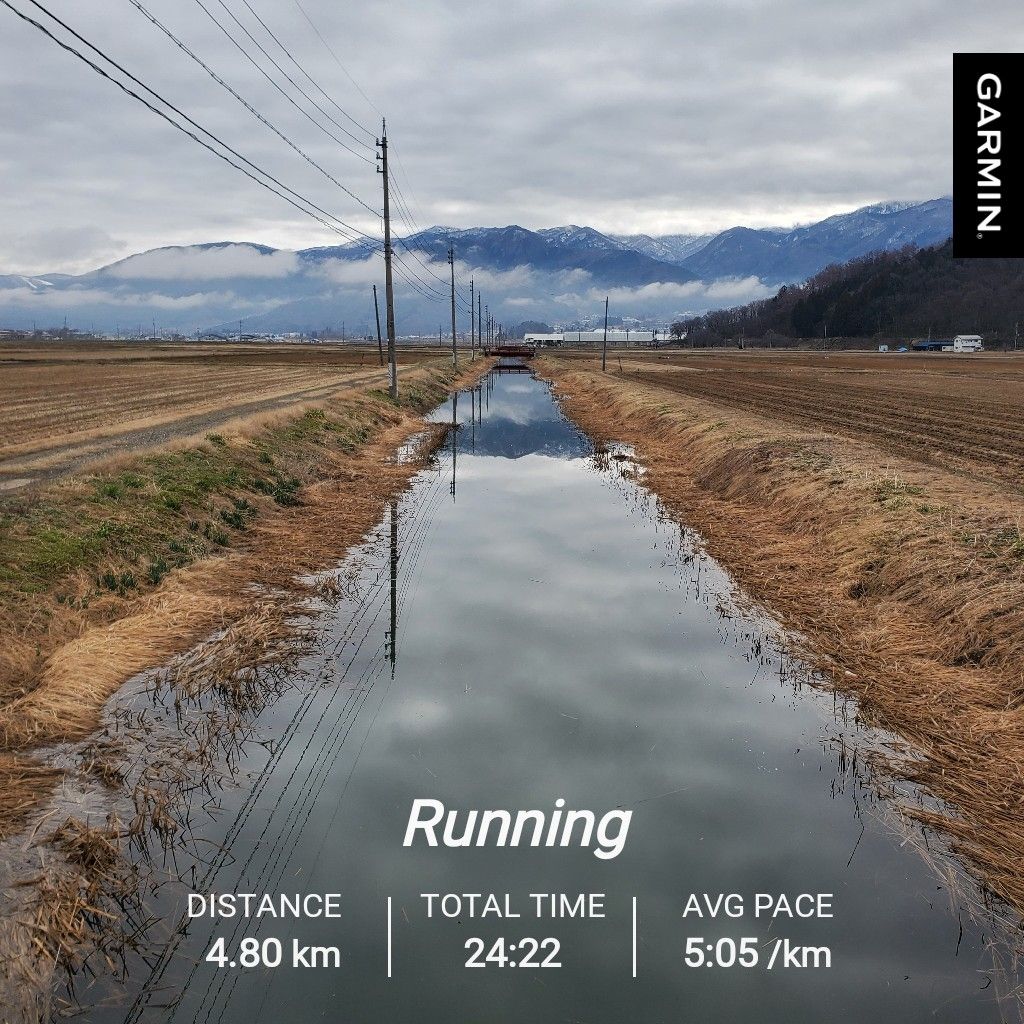 20260327 ブラッドハウンドとお返しトークは不要。の話