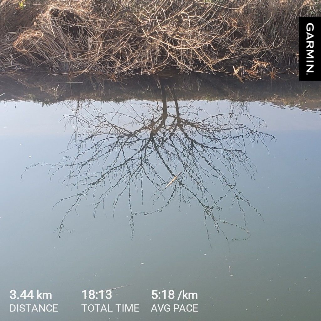 20260403 全てのものは振動してる話