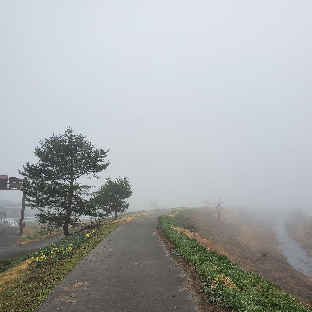 20260405 hyh、プロデューサーになるの巻