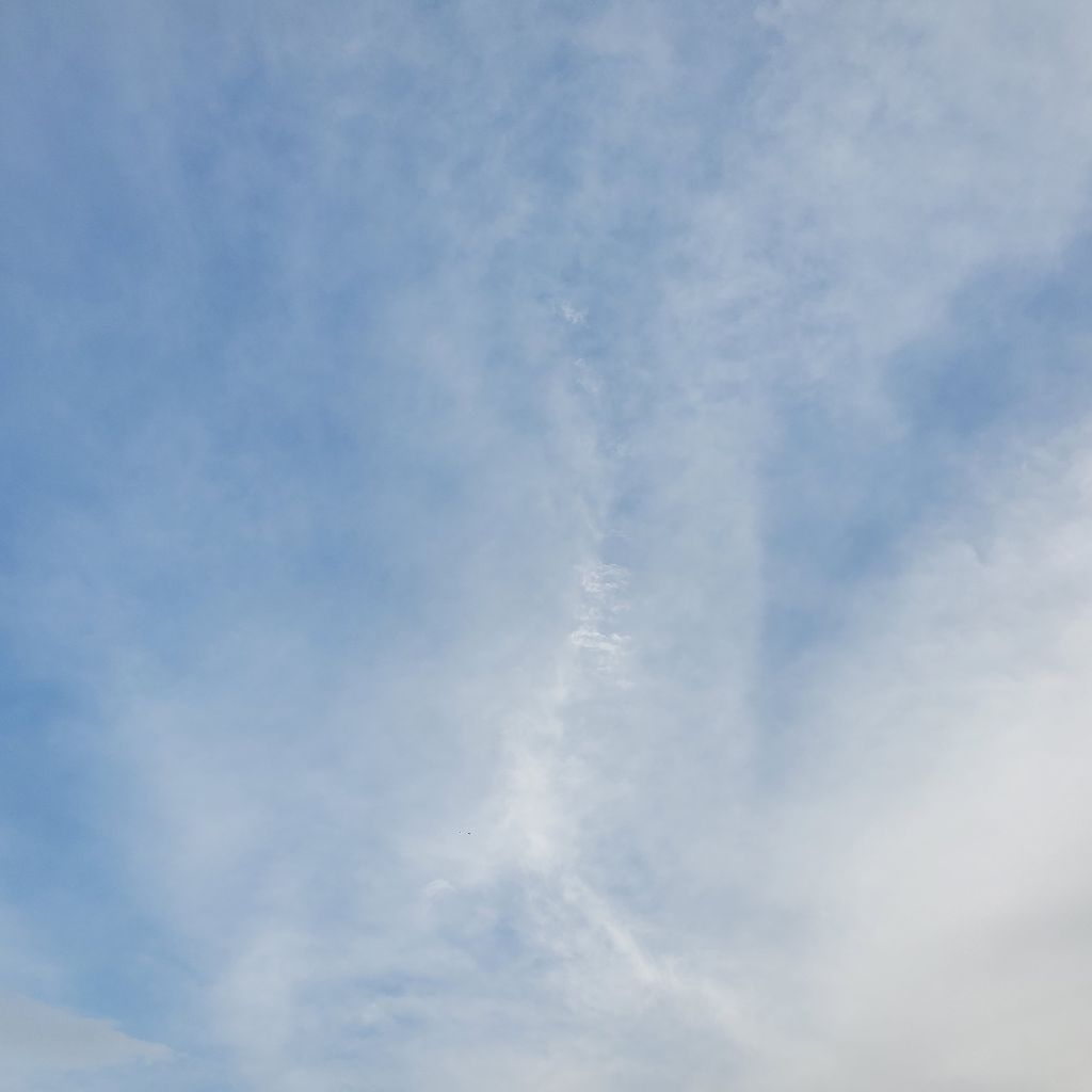 20260407 hyh作文の紹介②