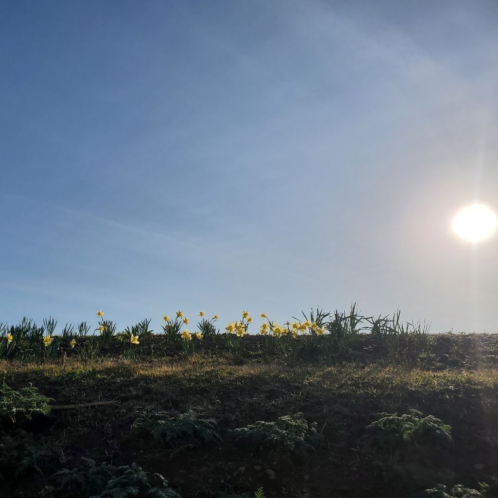 20260409 hyh作文の紹介④