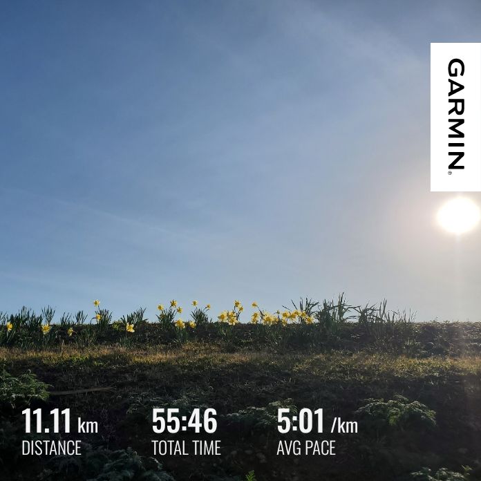 20260409 hyh作文の紹介④　進化するhyh radio!?