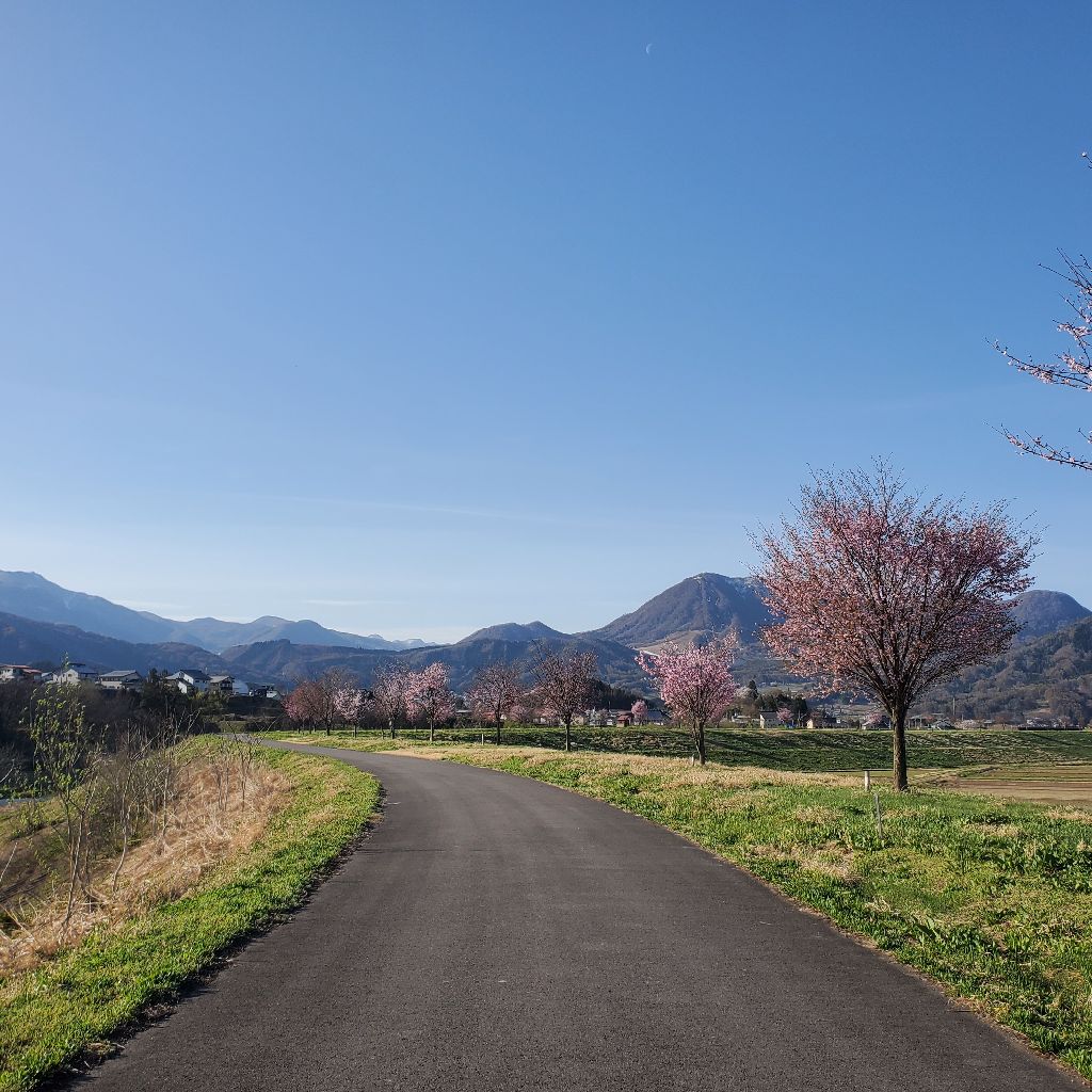 20260412 映画「90メートル」の感想