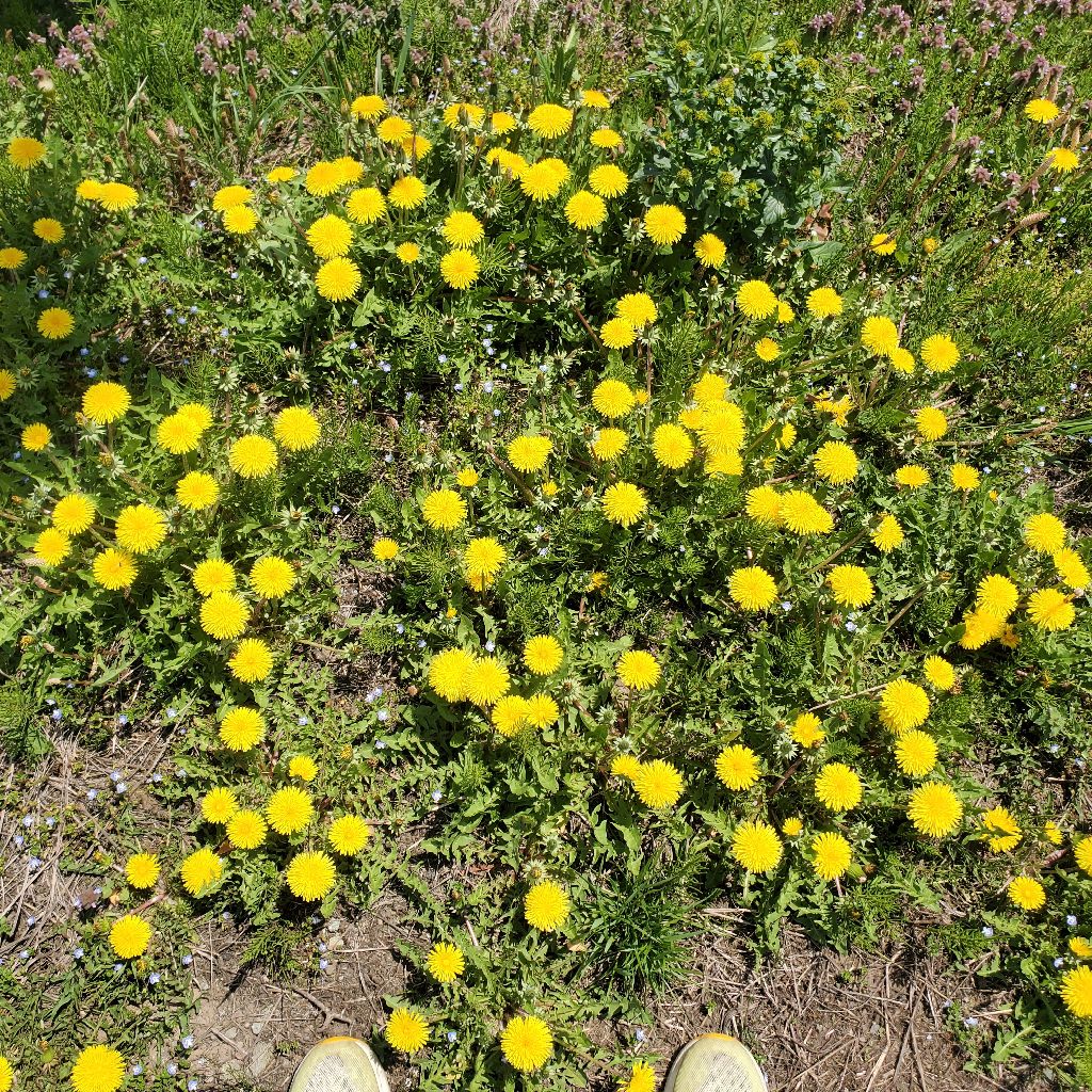 20260413 お返しトーク４本！