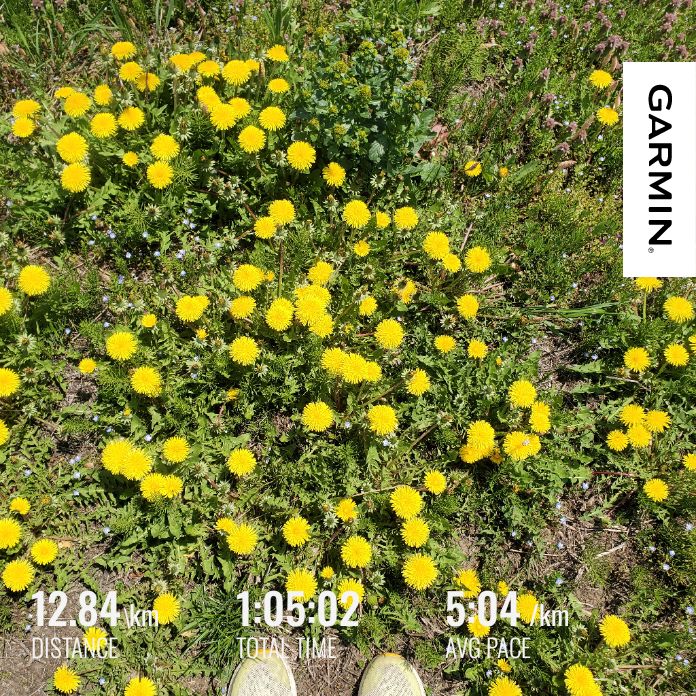 20260413 お返しトーク４本！