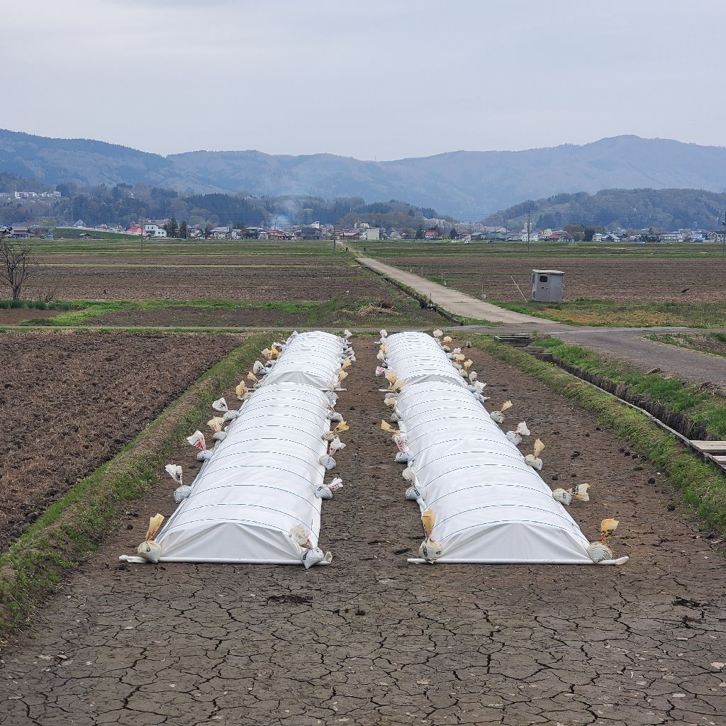 20260415 嬉し過ぎるドラム音源と初期衝動の話
