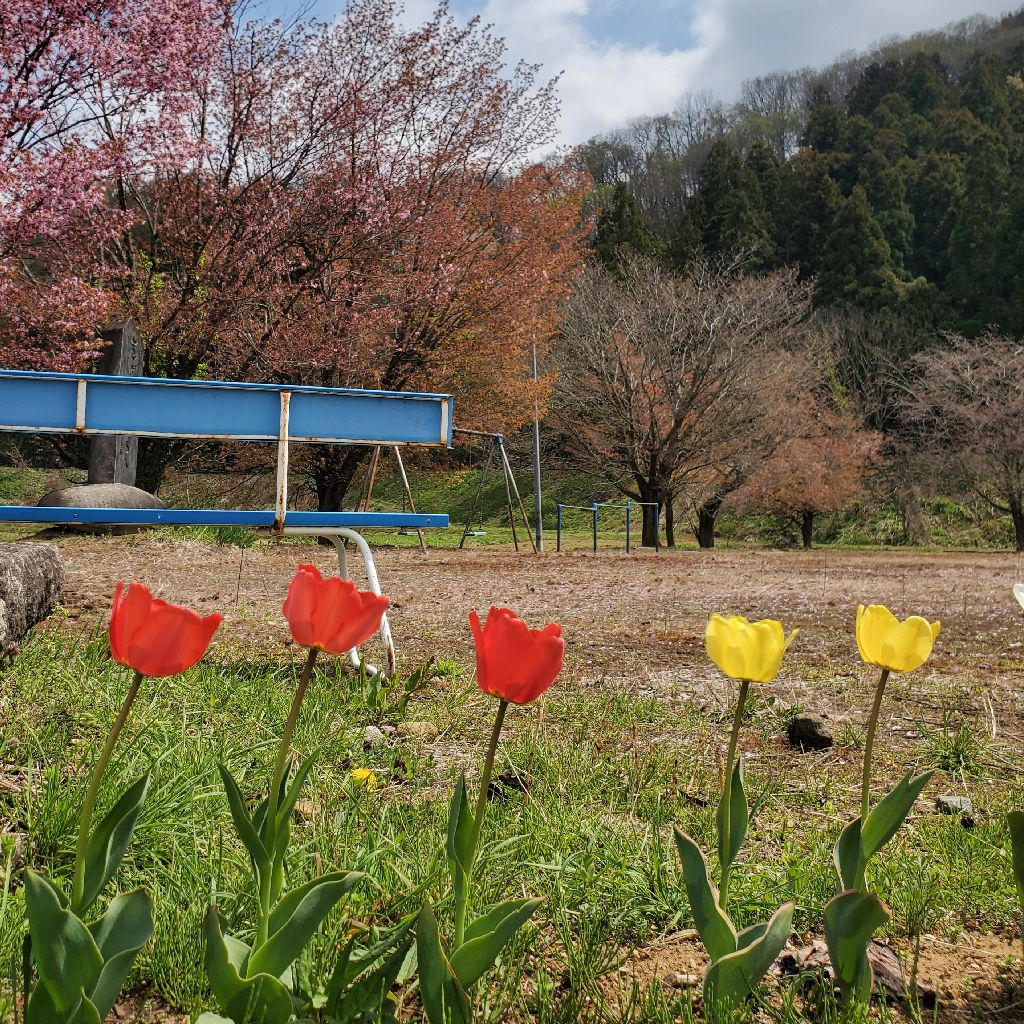 20260416 【収録の日】hyhバンド活動開始!?　バンド名は？
