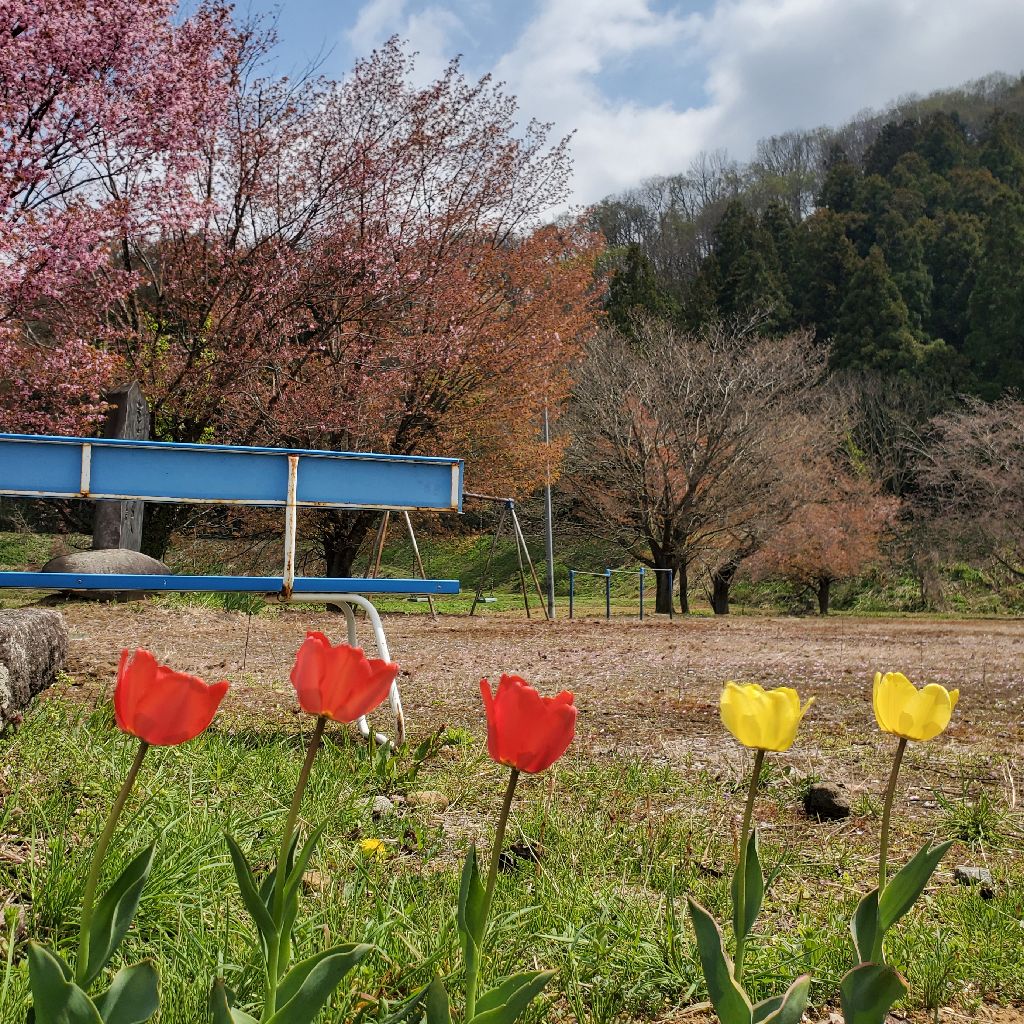 20260416 【収録の日】hyhバンド活動開始!?　バンド名は？