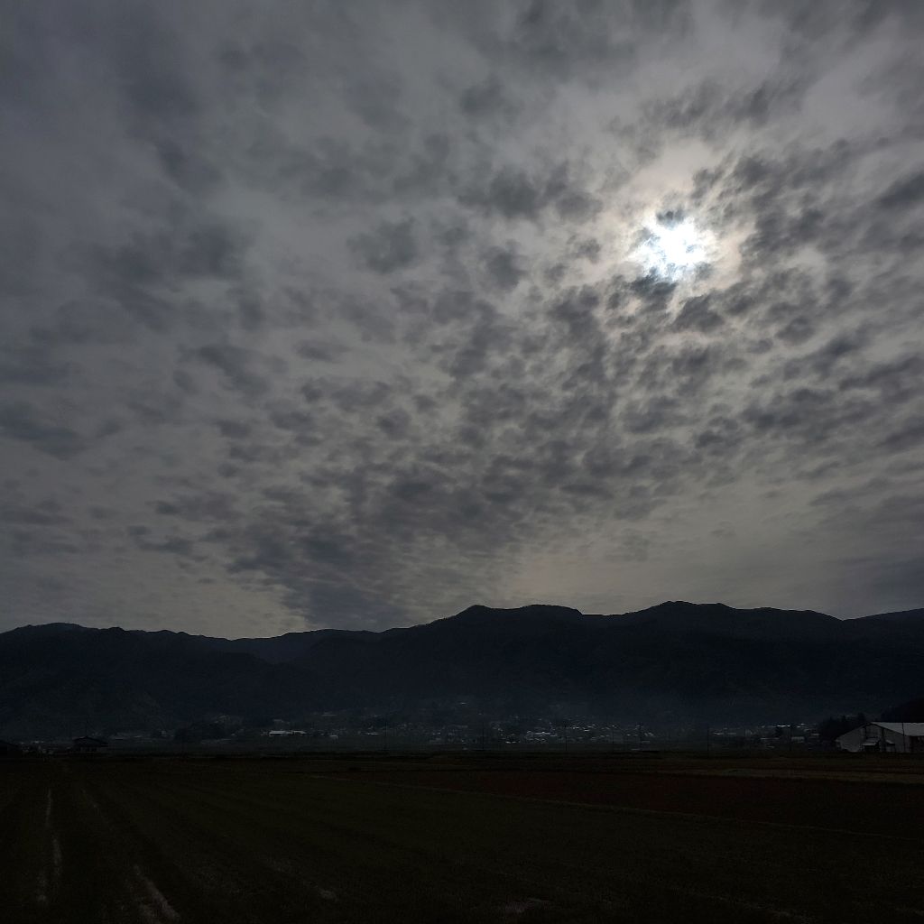 20260423 県民性の問題？おならとhyhのイメージと高身長ランナーの正体