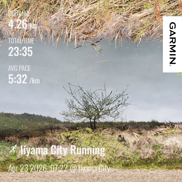 20260423 県民性の問題？おならとhyhのイメージと高身長ランナーの正体