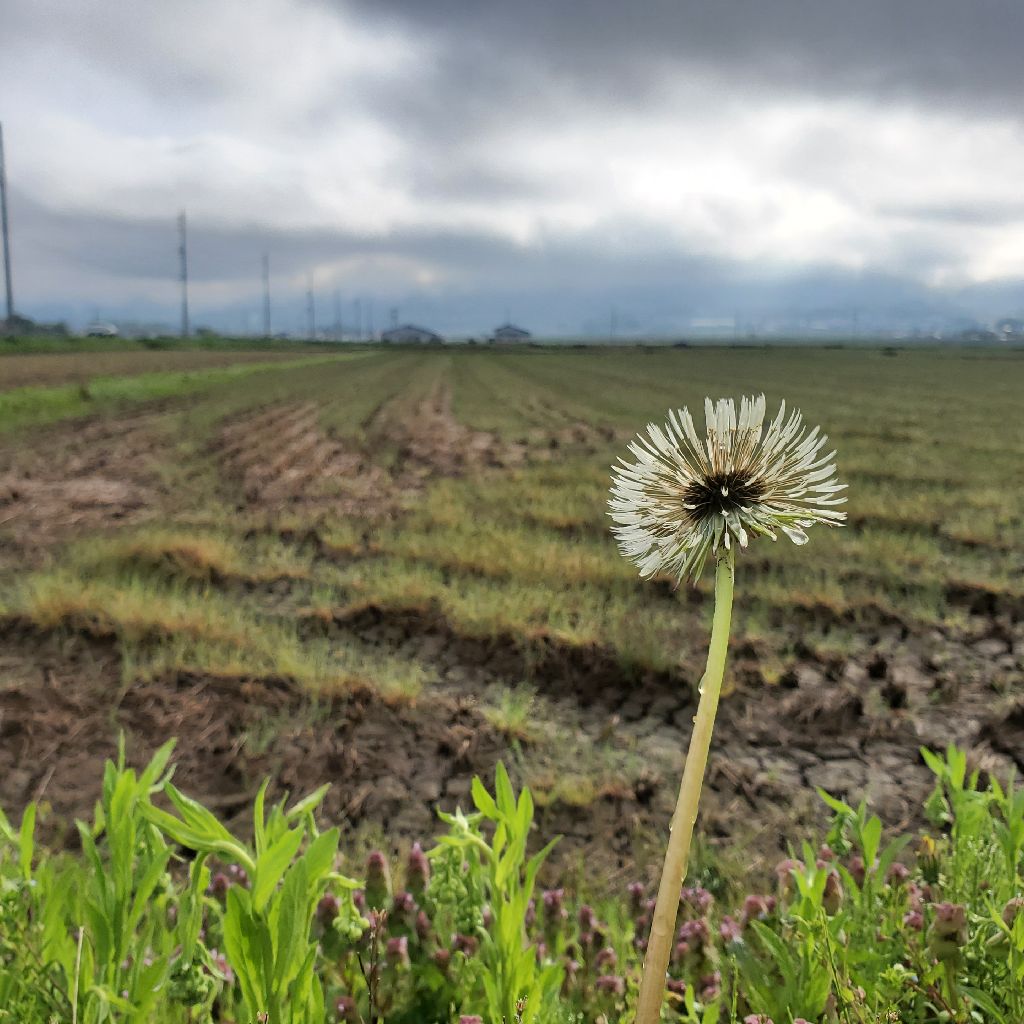 20260424 長野マラソンの報告【完結編】