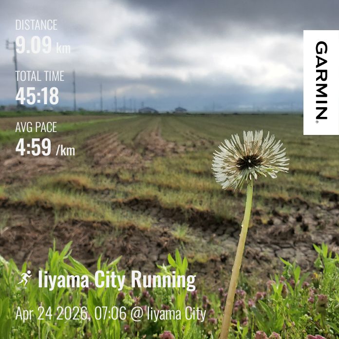20260424 長野マラソンの報告【完結編】