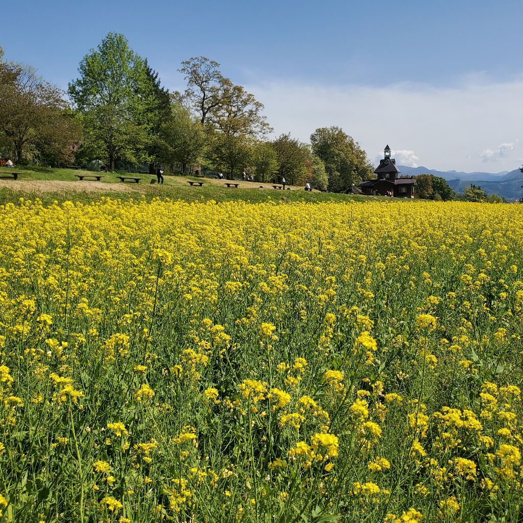 20260425 想像力と妄想力、どちらが世界を救えるか？