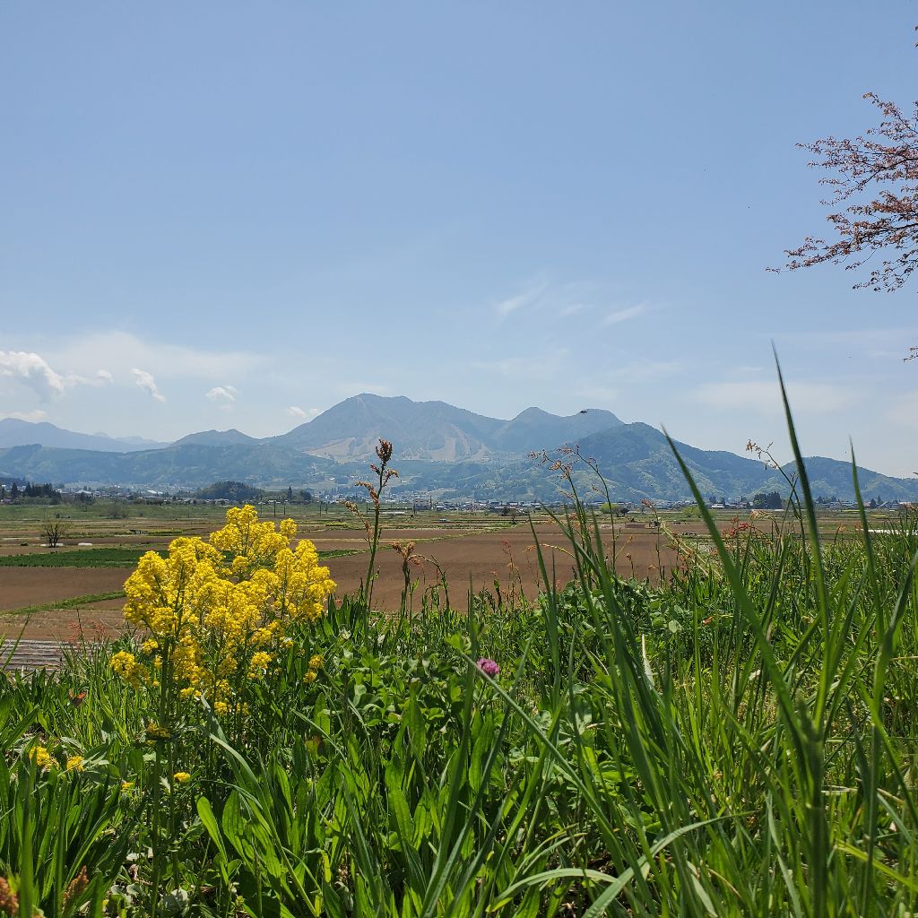 20260426 カトリﾝｉ山市に遠征の話