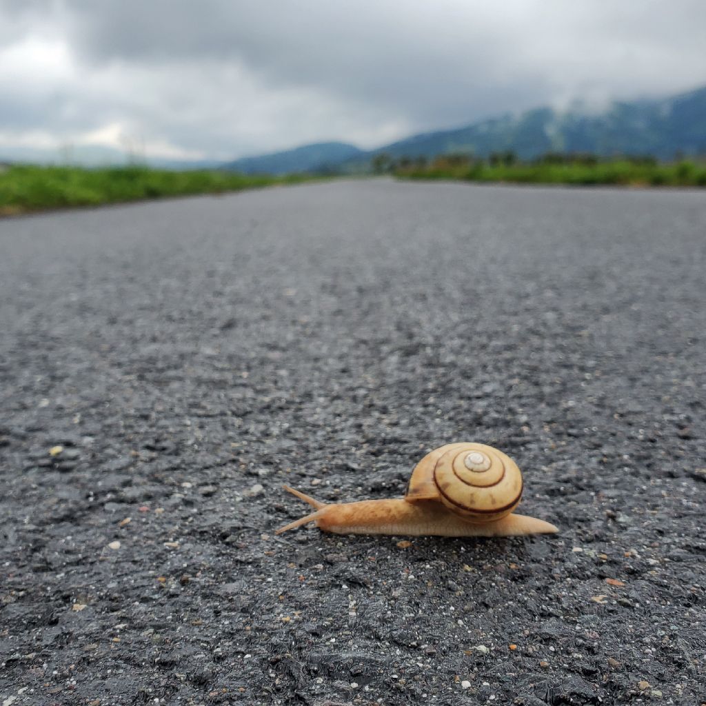 20260427 言い忘れた長野マラソンの話とhyhお返しトーク無限地獄