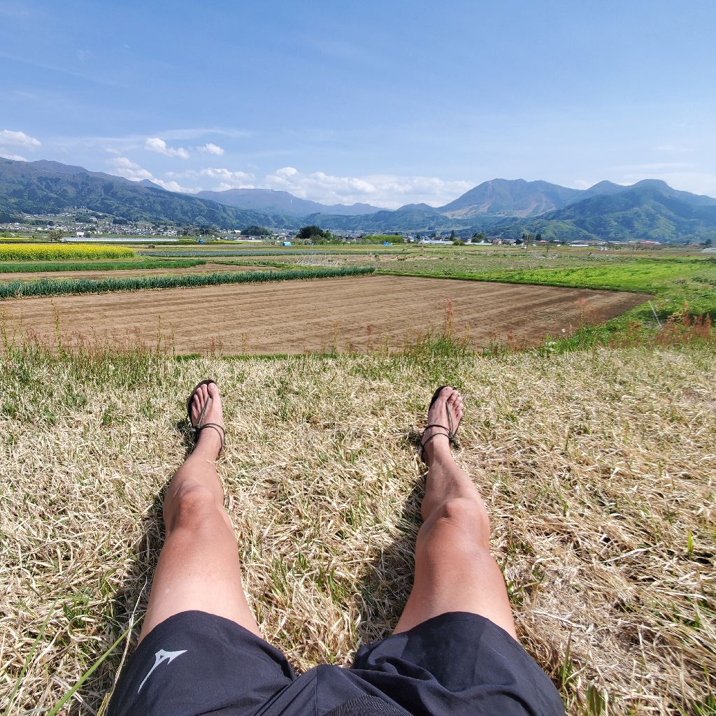 20260428 P音なラジラン？（お返しトークあり）