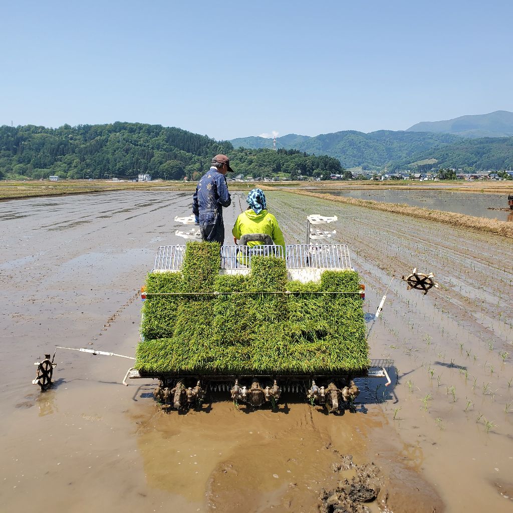 20260516 妻も参戦した田植え２日目の報告