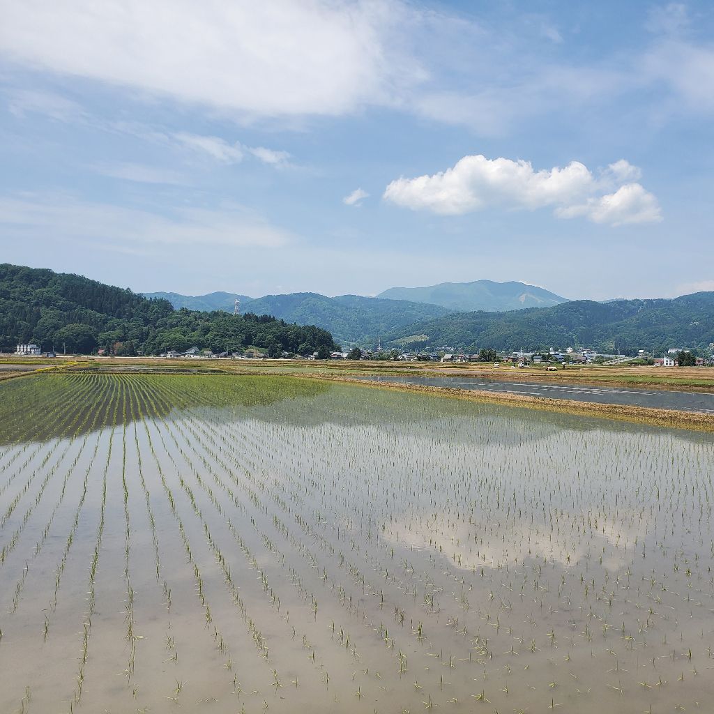 20260520 しばらくギターの弾き語りが出来ないかもしれない話