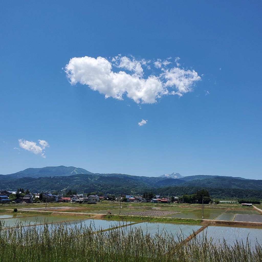 20260530 早押しクイズの正解者へのhyhからの豪華プレゼントは…？