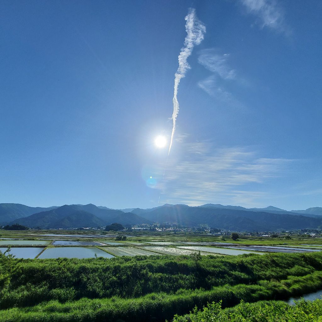 20260605 お返しトーク５本