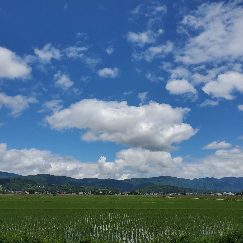 20260610 進化するラジオトークが素晴らしい話