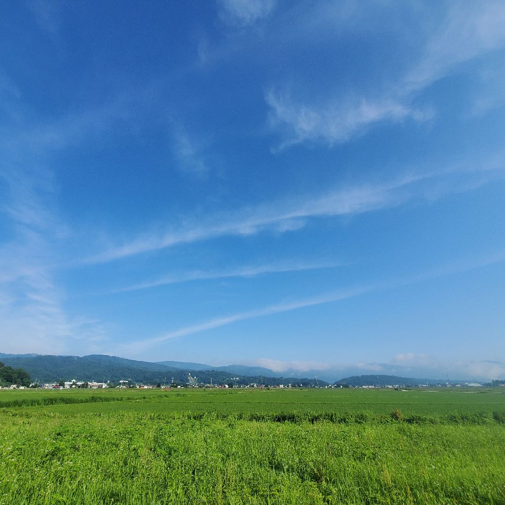 20260616 収録の日は風が強い話
