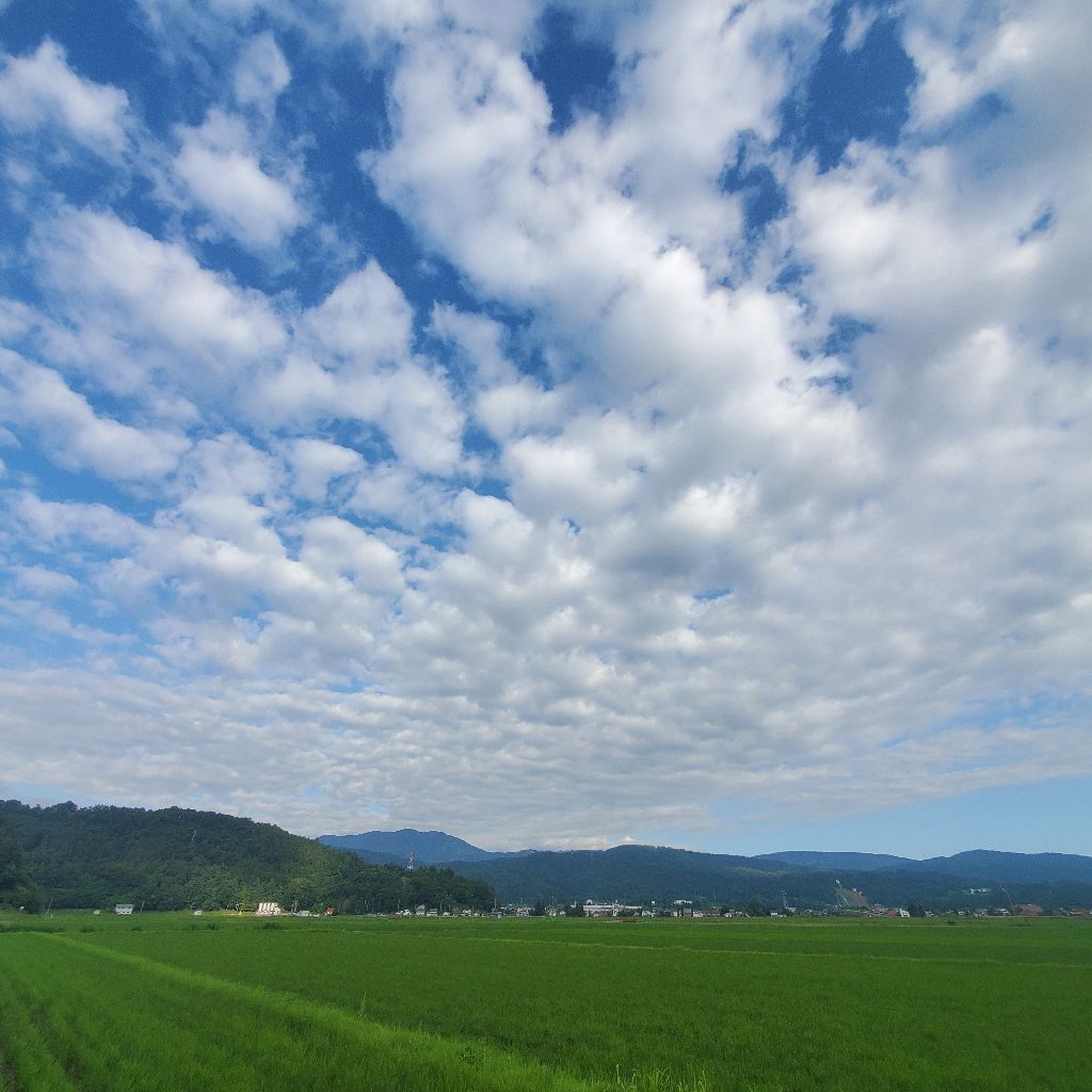20260629 お返しトーク３本