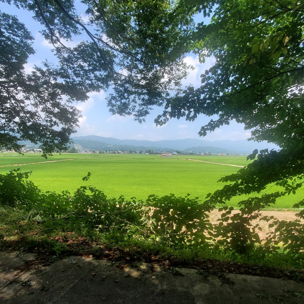 20260721 木陰コースからお返しトーク４本