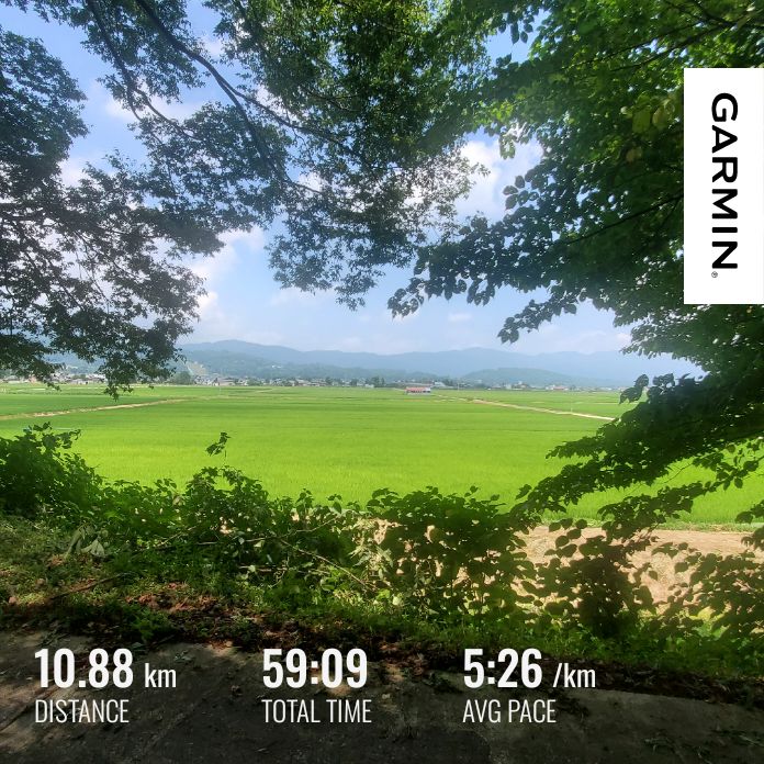 20260721 木陰コースからお返しトーク４本