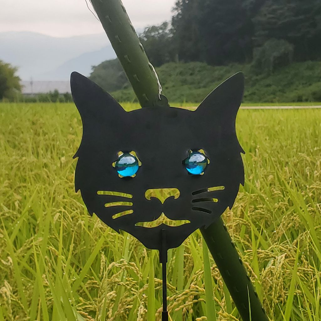 20260826 hyhはアンパンマンかどうか？の話