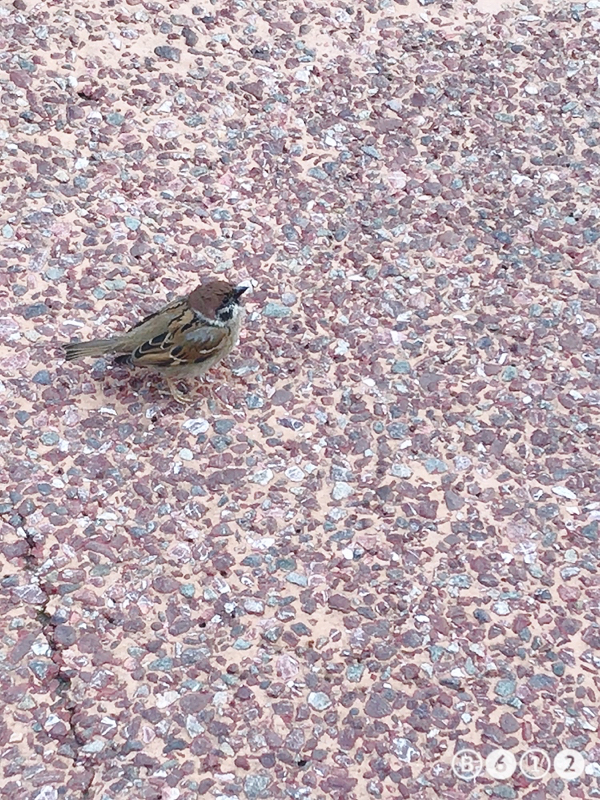 そーさくのはなし