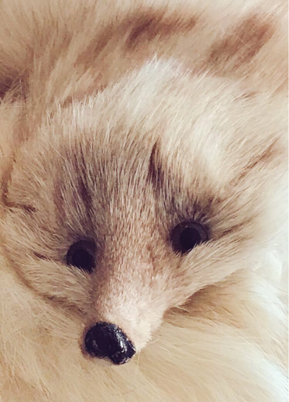 みずりゅーけーらんどパロの話