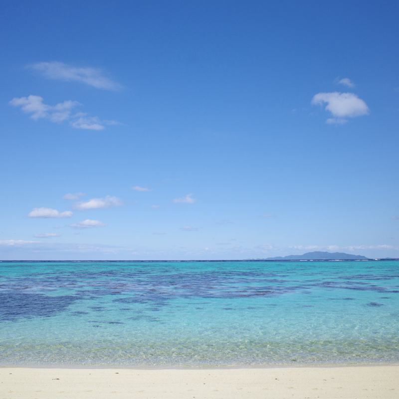 #99 タバガーへ②