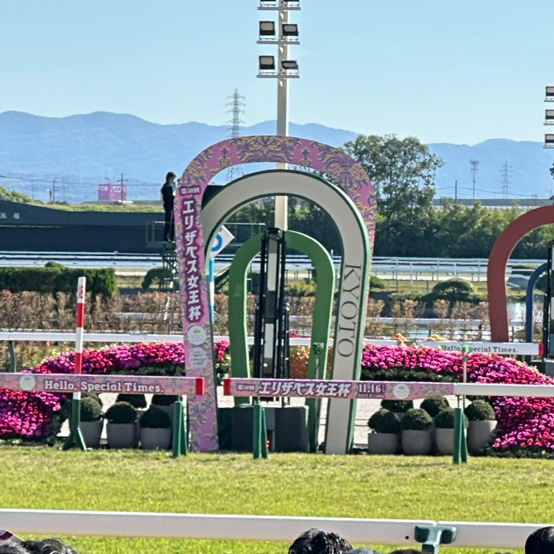 馬好き家の予想の番組