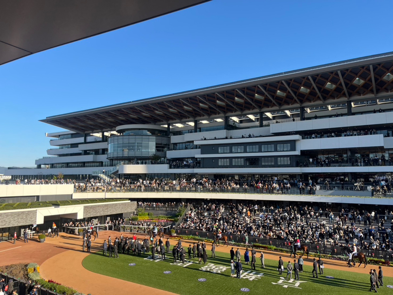 東スポ杯2歳S  結果編