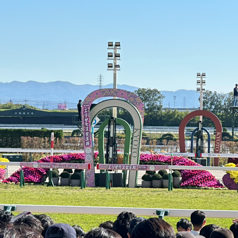 馬好き家の予想