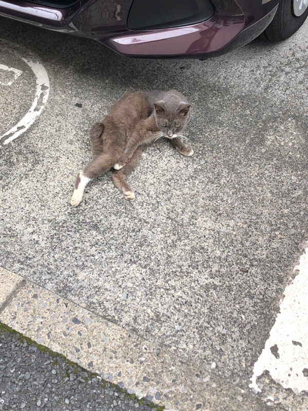 #3 私の学生時代のちょっとした話と吃音について