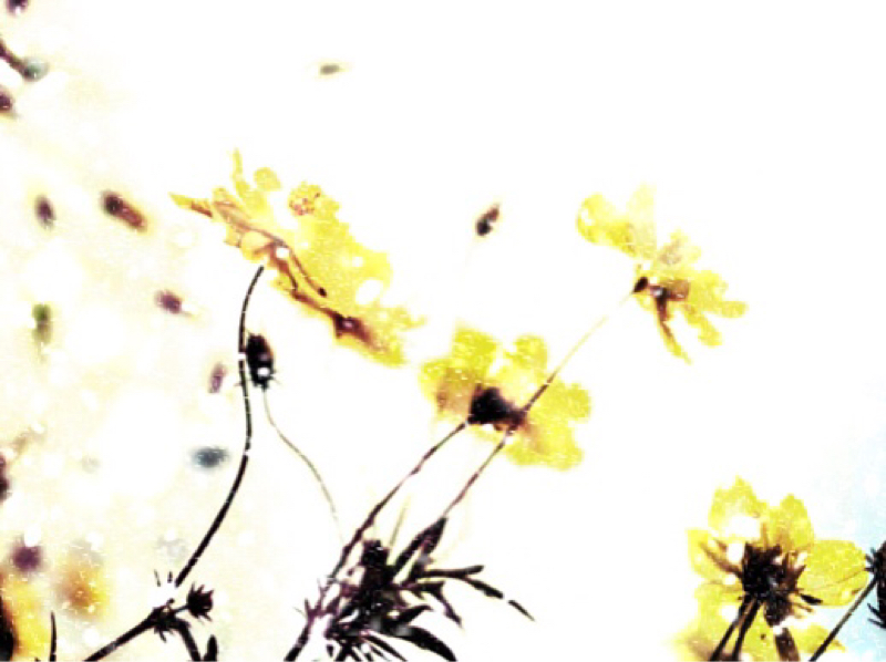 今まで書いた万紬作品について① (死が〜part1)