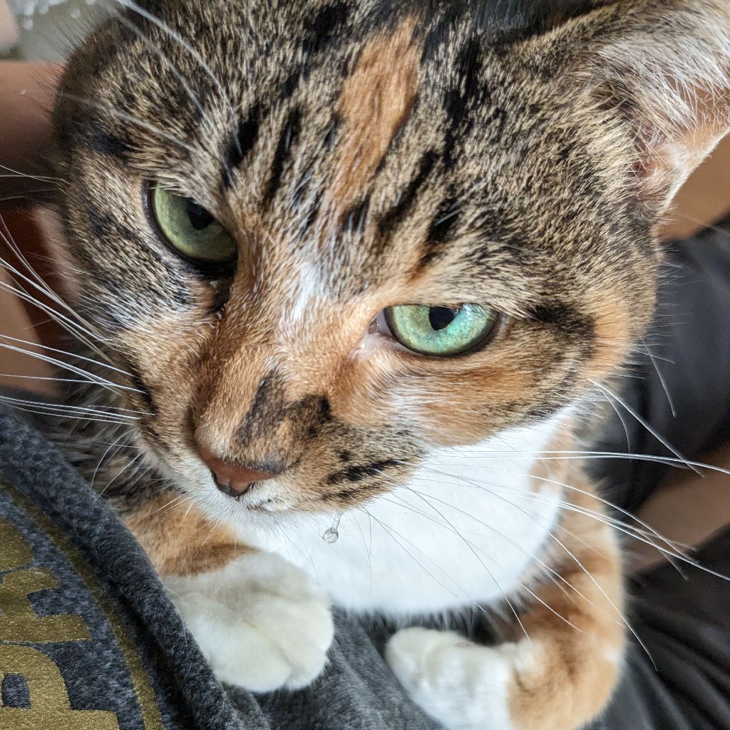 第２５２回「部屋と株とおかっぺ」