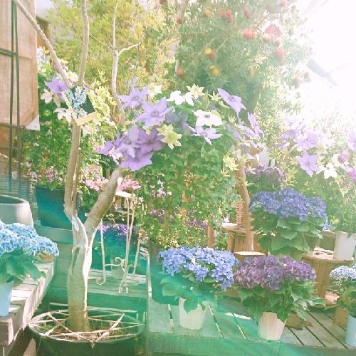 もーみの観察日記