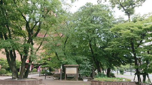 推しのこと喋るラジオ