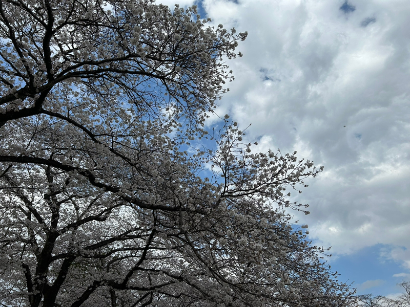 第268回　うた『時代』