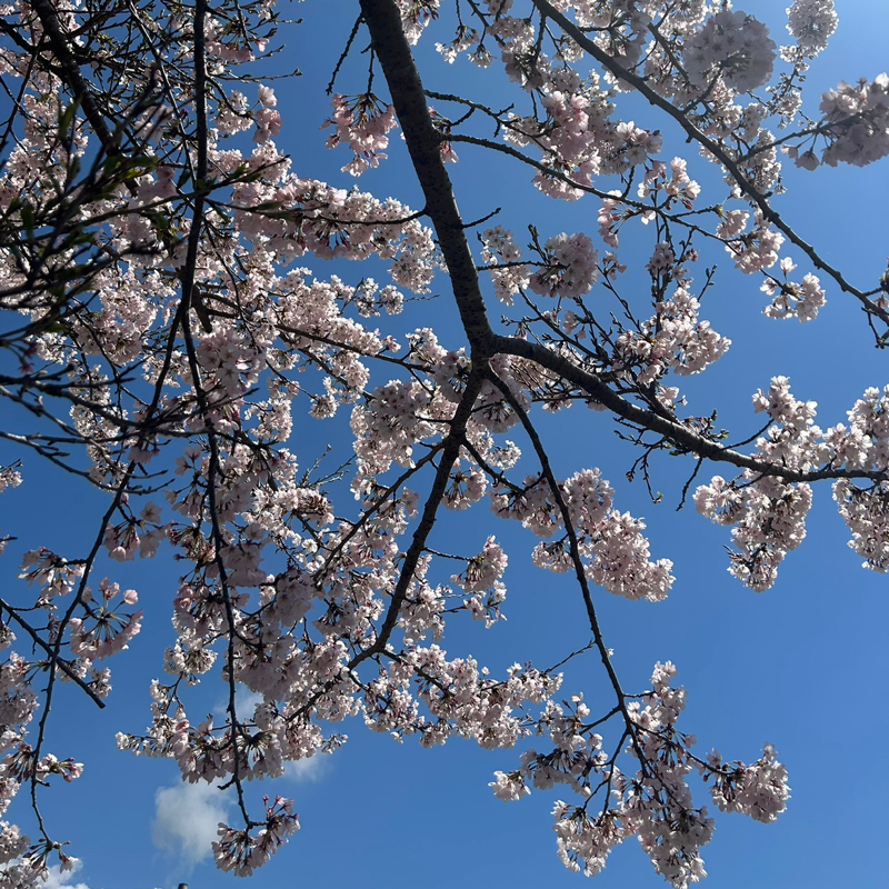 第269回　背中を押してもらえたら