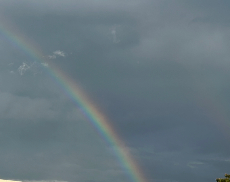 第270回　昭和の日に近況トークだよ。