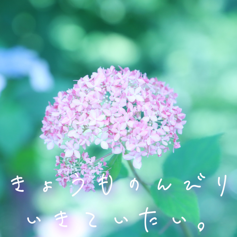 ミニ6サイズのシステム手帳購入してほくほくしております。