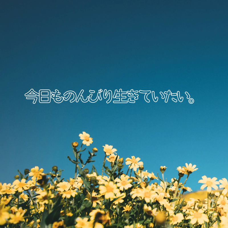 ここ1ヶ月こうやって生きてたよ！