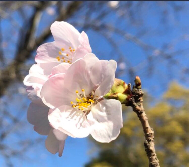 第６回　フリートーク