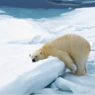 暇な人のためのラジオ