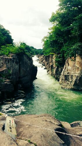 シノヤマについて